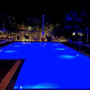 Pine Trees Art Hotel